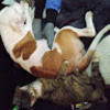 lilbit0711